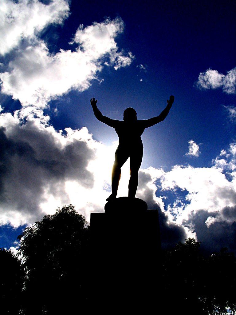 Discover the 4 Leadership Domains - Accelus Partners