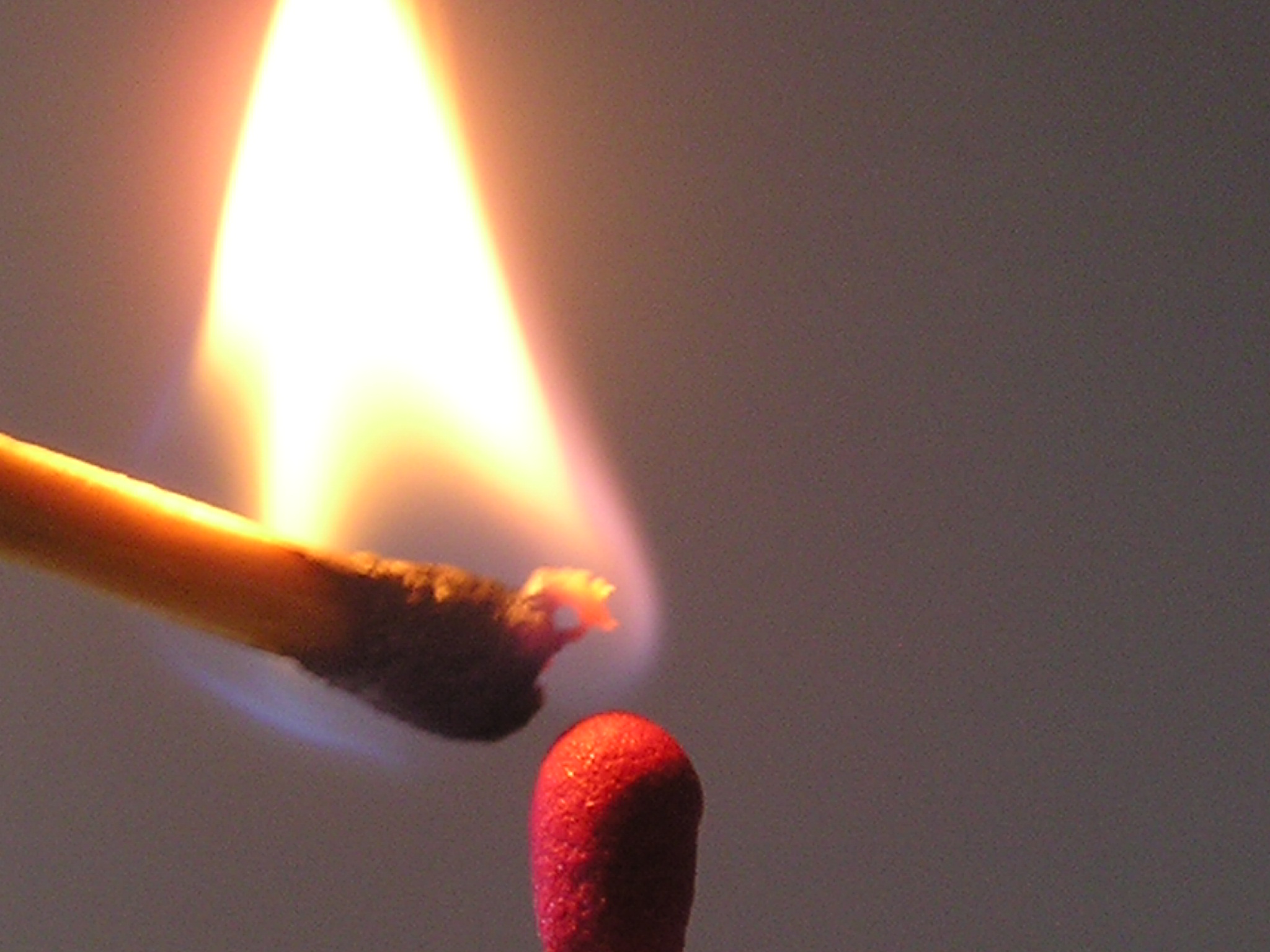 Do You Know Who Your Influencers Are? - Accelus Partners