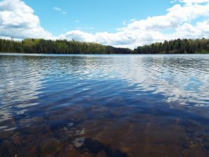 The Accelus Advantage | Discover what Accelus Partners can do for you.