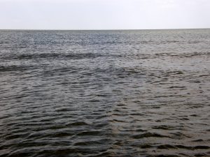 The Accelus Advantage | Discover what Accelus Partners can do for you.