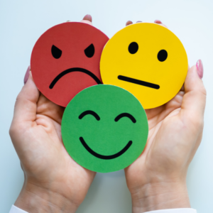 perception & feedback